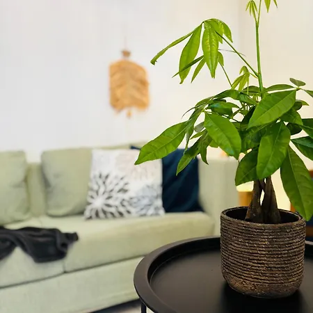 Sofitaki Apartament Argostoli (Kefalonia)