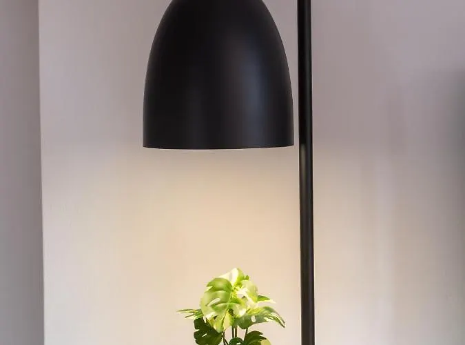 Sofitaki